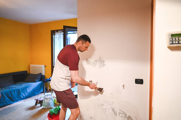 Best Commercial Mold Removal  in Lawson, MO